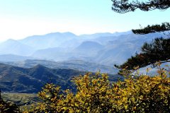 恒山悬空寺应县木塔1日游